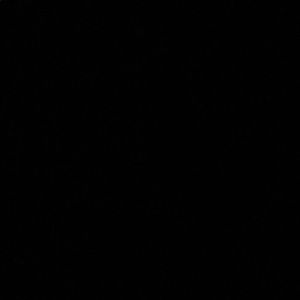 Meet your Posher, Will